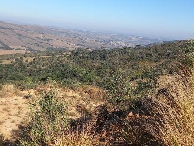 Sítio e chácara venda em Região Geográfica Imediata de Lavras, Luminárias