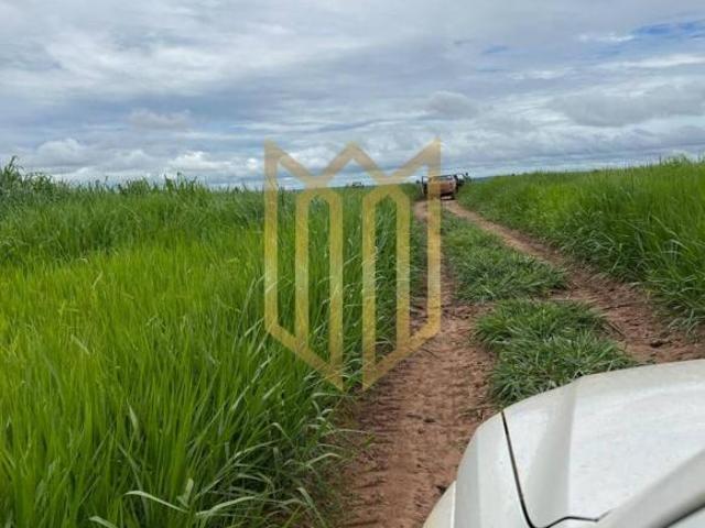 Sítio e chácara venda em Região Geográfica Imediata de Primavera do Leste, Paranatinga