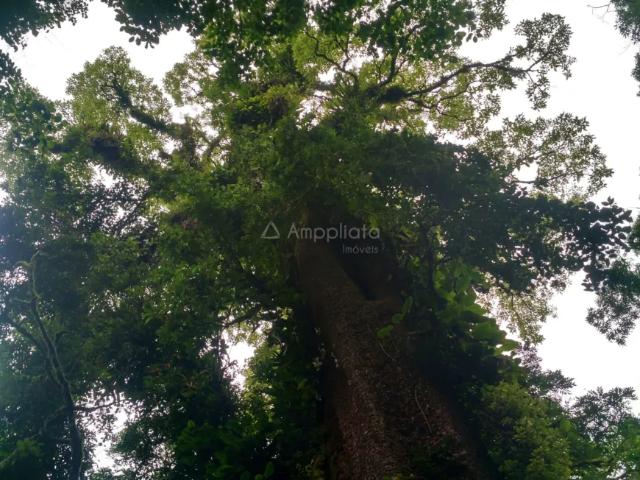 Fazenda venda em Região Geográfica Imediata de Curitiba, Região Metropolitana de Curitiba