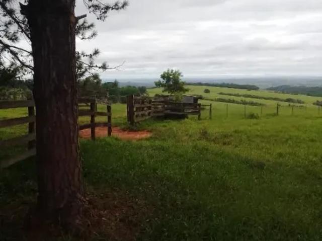 Fazenda venda em Região Imediata de Itapeva, Riversul