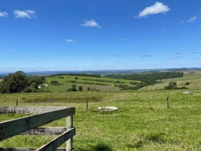 Fazenda venda em Região Imediata de Itapeva, Riversul