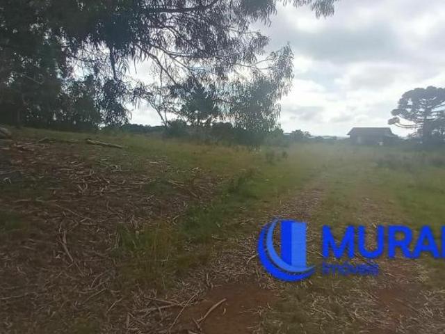 Sítio e chácara venda em Região Geográfica Imediata de Caxias do Sul, São Francisco de Paula