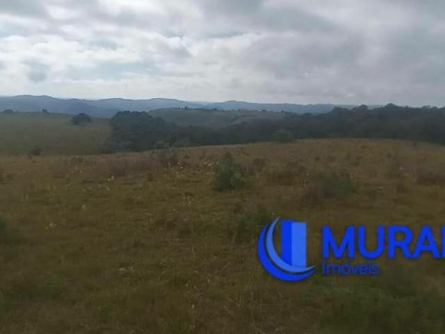 Sítio e chácara venda em Região Geográfica Imediata de Caxias do Sul, São Francisco de Paula