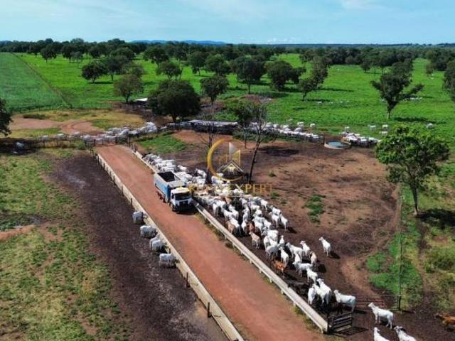 Sítio e chácara venda em Porangatu, Região Geográfica Intermediária de Porangatu-Uruaçu