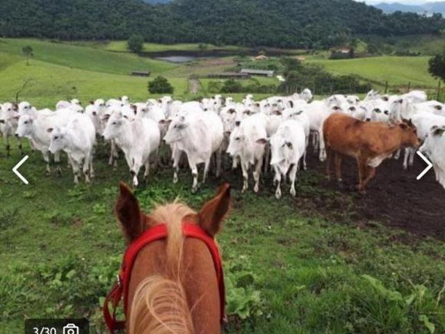 Sítio e chácara venda em Região Imediata de São Paulo, Região Metropolitana de São Paulo