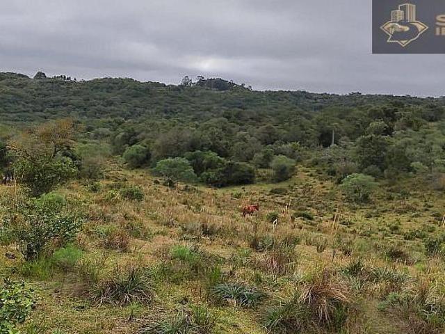 Sítio e chácara venda em Canguçu, Região Geográfica Intermediária de Pelotas