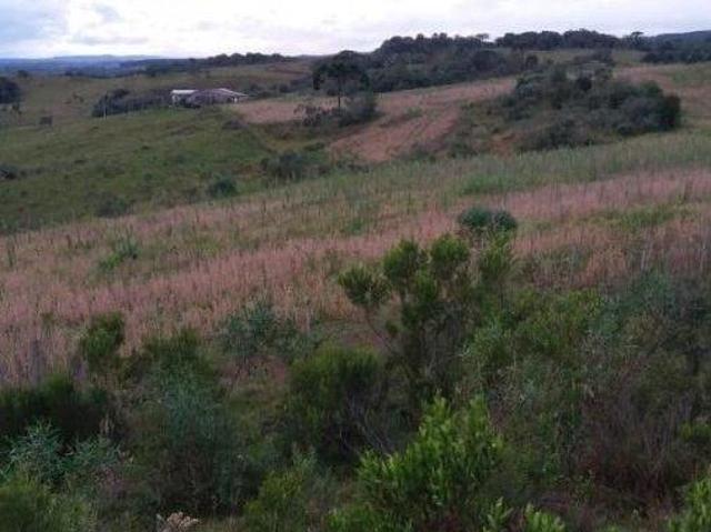 Sítio e chácara venda em Região Geográfica Imediata de Vacaria, Jaquirana