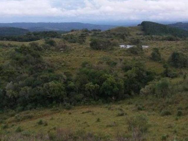 Sítio e chácara venda em Região Geográfica Imediata de Vacaria, Jaquirana