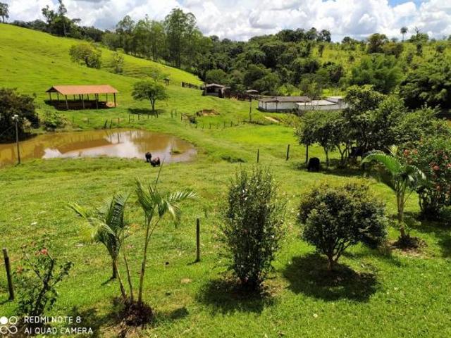 Sítio e chácara venda em Região Geográfica Imediata de Belo Horizonte, Região Metropolitana de Belo Horizonte