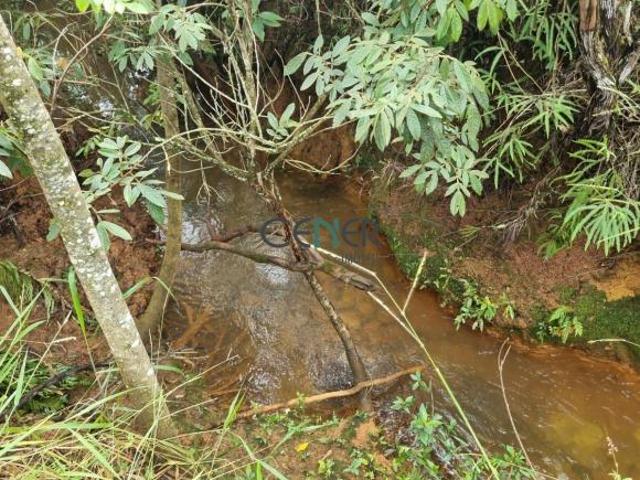 Sítio e chácara venda em Região Geográfica Imediata de Caxambu - Baependi, Cruzília