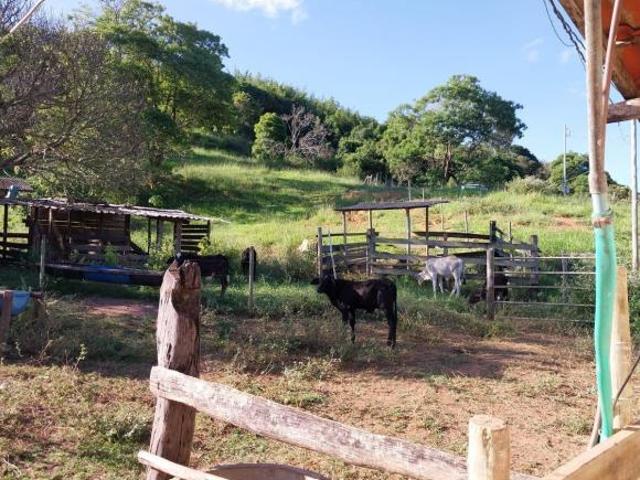 Sítio e chácara venda em Região Geográfica Imediata de Ipatinga, Periquito