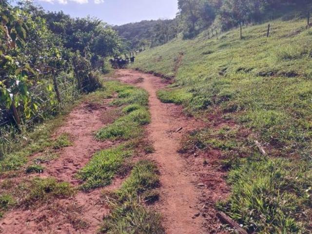 Sítio e chácara venda em Região Geográfica Imediata de Ipatinga, Periquito