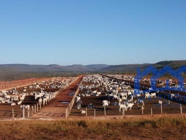 Sítio e chácara venda em Região Imediata de Catanduva, Pindorama