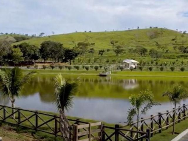 Sítio e chácara venda em Região Geográfica Imediata de Anápolis, Região Integrada de Desenvolvimento do Distrito Federal e Entorno
