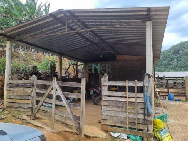 Sítio e chácara venda em Região Geográfica Imediata de São João Nepomuceno - Bicas, São João Nepomuceno
