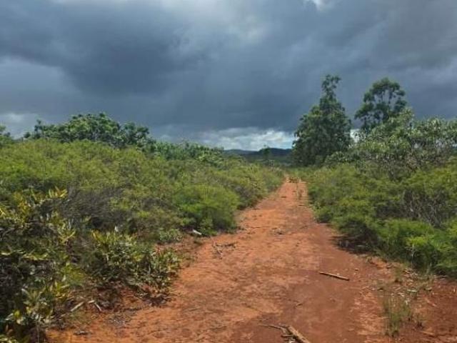 Sítio e chácara venda em Região Geográfica Imediata de Montes Claros, Bocaiúva