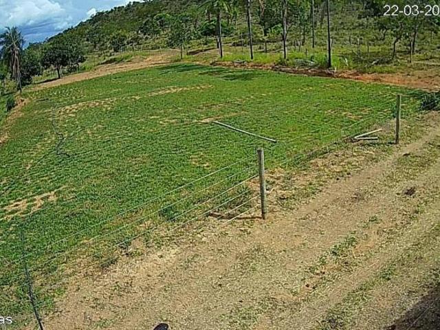 Sítio e chácara venda em Região Geográfica Imediata de Águas Lindas de Goiás, Região Integrada de Desenvolvimento do Distrito Federal e Entorno