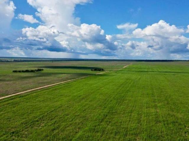 Sítio e chácara venda em Região Geográfica Imediata de Água Boa, Gaúcha do Norte