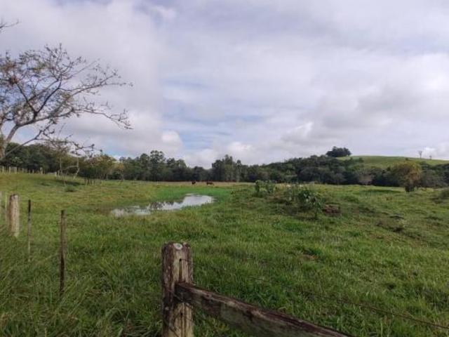 Sítio e chácara venda em Região Geográfica Imediata de Santo Antônio da Platina, Santo Antônio da Platina