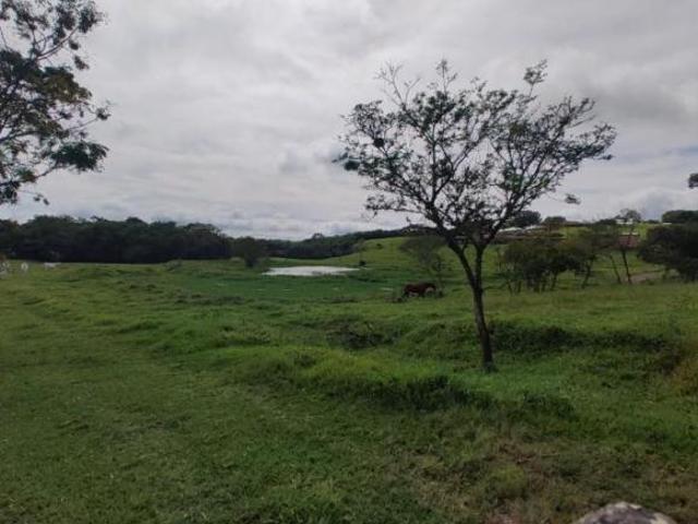 Sítio e chácara venda em Região Geográfica Imediata de Santo Antônio da Platina, Santo Antônio da Platina