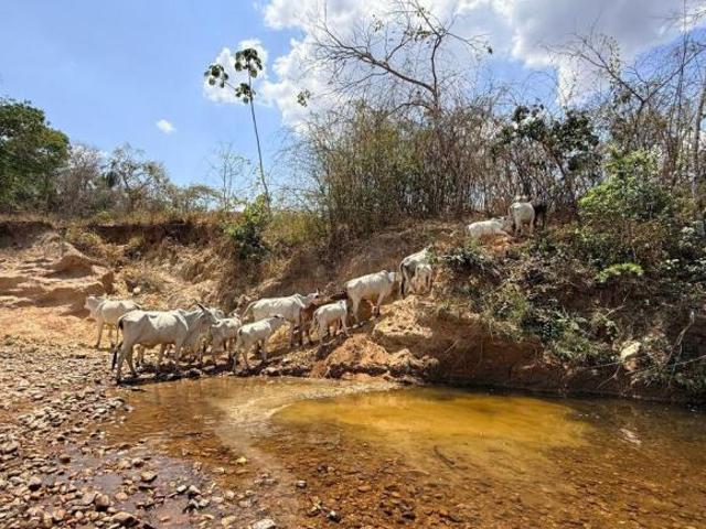 Sítio e chácara venda em Canaã, Niquelândia