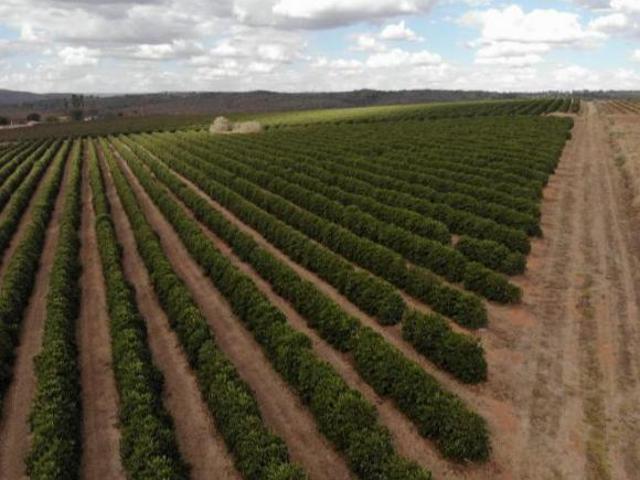 Sítio e chácara venda em Região Geográfica Imediata de Patrocínio, Patrocínio