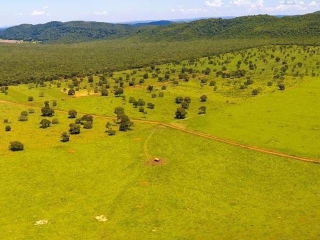 Sítio e chácara venda em Brasília, Plano Piloto