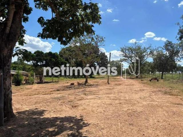 Sítio e chácara venda em Buenópolis, Região Geográfica Intermediária de Belo Horizonte