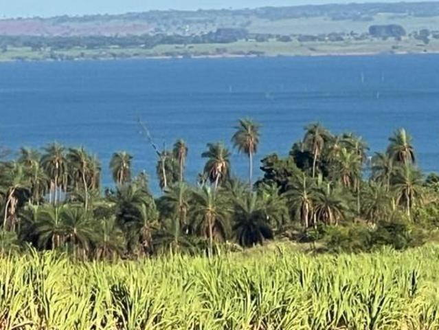 Sítio e chácara venda em Região Imediata de Presidente Epitácio-Presidente Venceslau, Presidente Epitácio