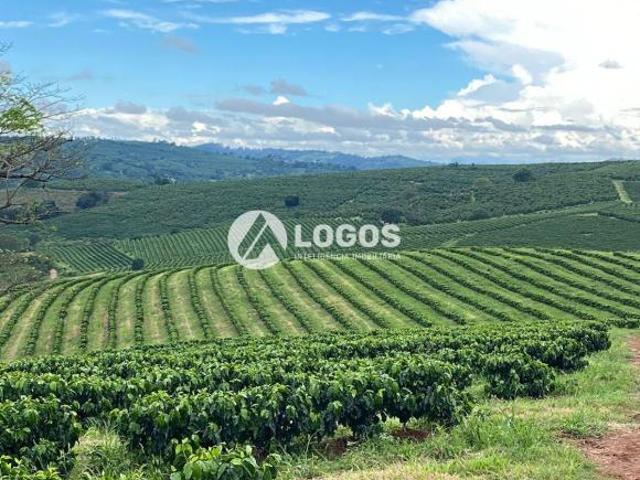 Sítio e chácara venda em Guaxupé, Região Geográfica Intermediária de Varginha