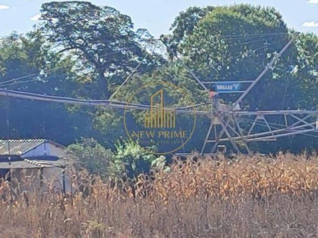 Sítio e chácara venda em Região Geográfica Imediata de Unaí, Região Integrada de Desenvolvimento do Distrito Federal e Entorno