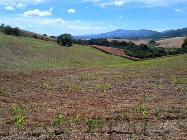 Sítio e chácara venda em Região Geográfica Imediata de Três Corações, Três Corações