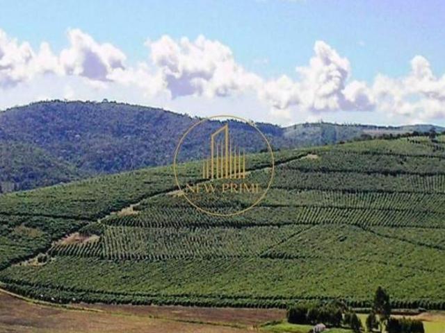 Sítio e chácara venda em Capelinha, Região Sudeste