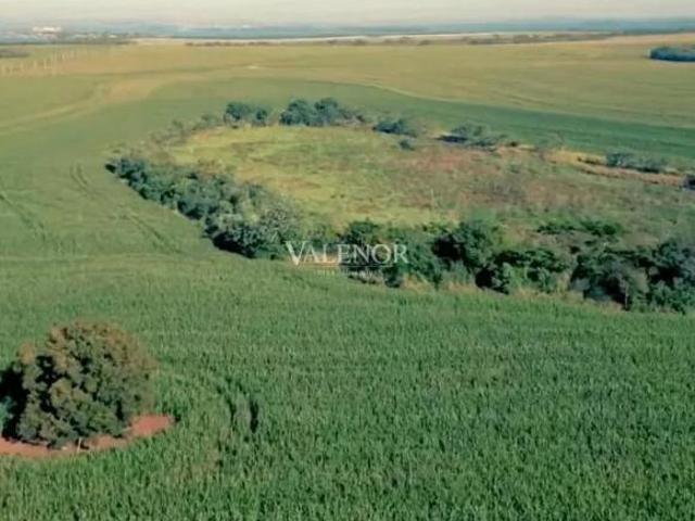 Sítio e chácara venda em Região Geográfica Imediata de Cornélio Procópio-Bandeirantes, Sertaneja