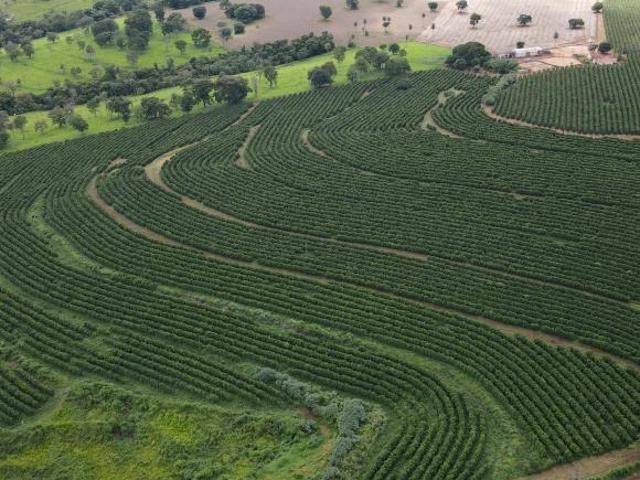 Sítio e chácara venda em Região Geográfica Imediata de Patrocínio, Patrocínio