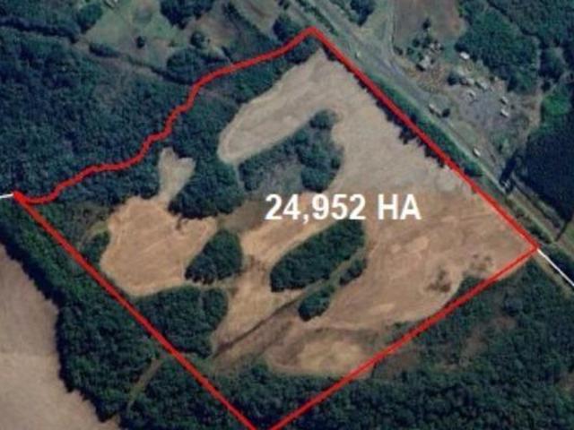 Sítio e chácara venda em Região Geográfica Imediata de Guarapuava, Guarapuava