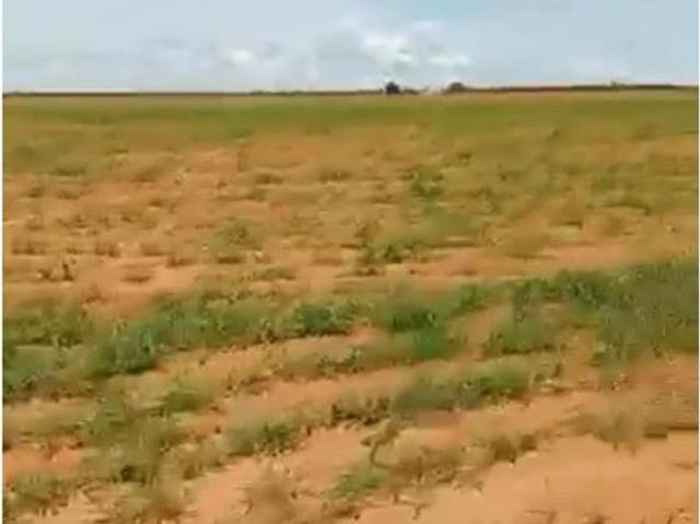 Sítio e chácara venda em Região Geográfica Imediata do Distrito Federal, Região Integrada de Desenvolvimento do Distrito Federal e Entorno