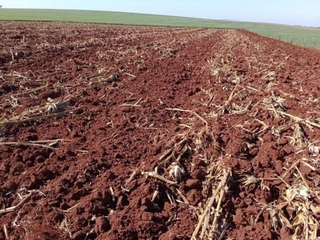 Sítio e chácara venda em Região Imediata de Avaré, Avaré