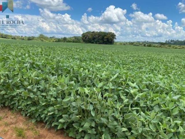 Sítio e chácara venda em Região Imediata de Avaré, Avaré