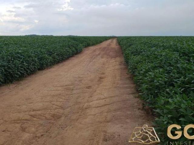 Sítio e chácara venda em Região Geográfica Imediata de Confresa - Vila Rica, São Felix do Araguaia