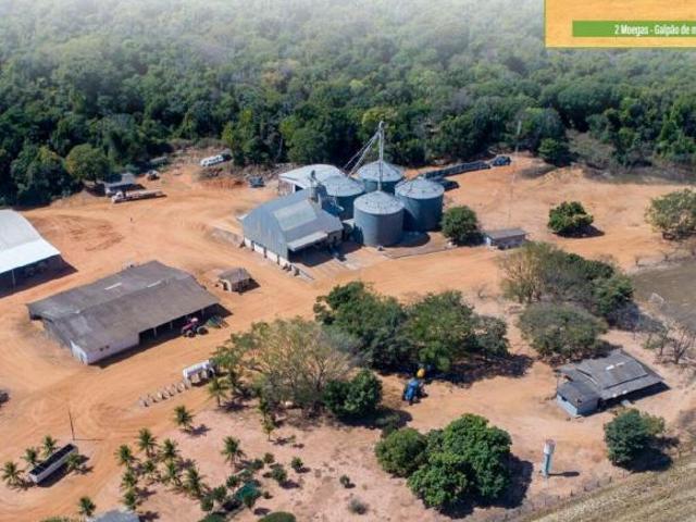 Sítio e chácara venda em Região Geográfica Imediata de Tangará da Serra, Campo Novo do Parecis