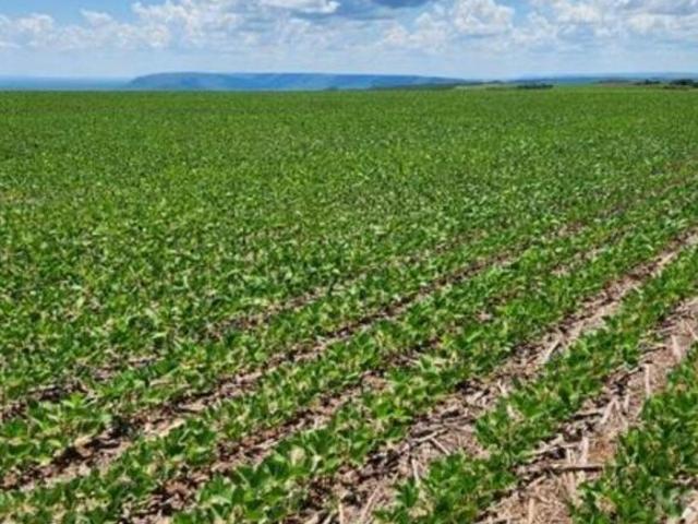 Sítio e chácara venda em Região Geográfica Imediata de Cuiabá, Rosário Oeste