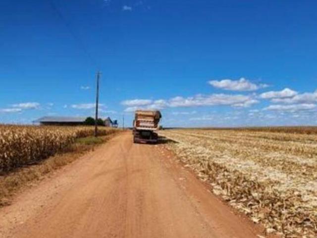 Sítio e chácara venda em Região Geográfica Imediata de Sorriso, Sorriso