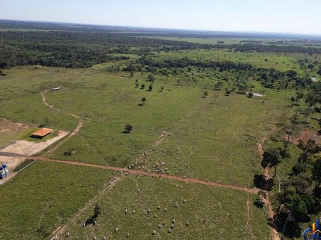 Sítio e chácara venda em Região Geográfica Imediata de Confresa - Vila Rica, Confresa