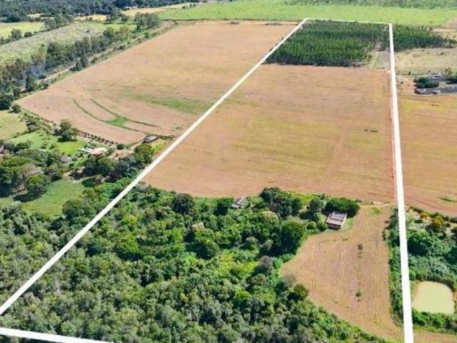 Sítio e chácara venda em Região Geográfica Imediata do Distrito Federal, Região Integrada de Desenvolvimento do Distrito Federal e Entorno