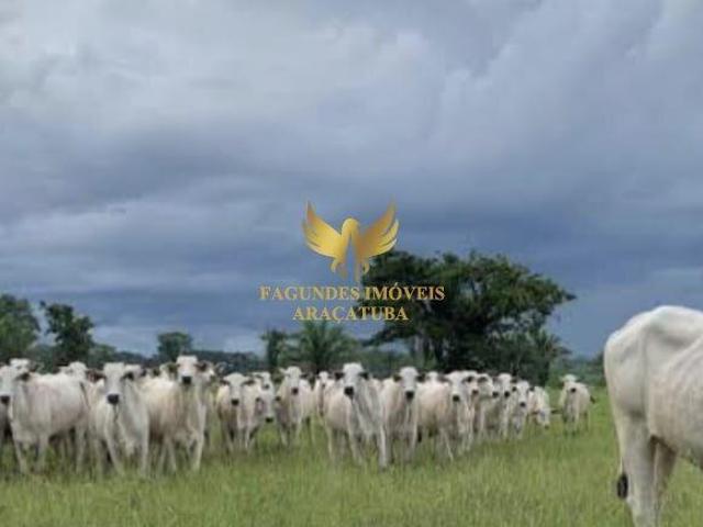 Sítio e chácara venda em Região Geográfica Imediata de Campo Grande, Ribas do Rio Pardo