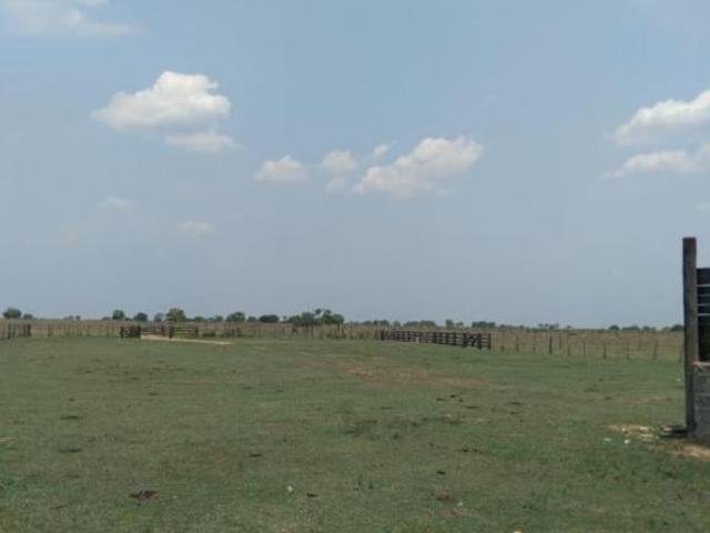 Sítio e chácara venda em Ribeirão Cascalheira, Região Geográfica Intermediária de Barra do Garças