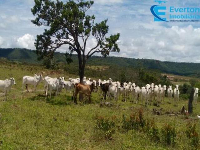 Sítio e chácara venda em Região Geográfica Imediata de Patos de Minas, Presidente Olegário
