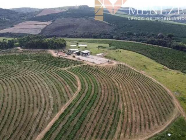 Sítio e chácara venda em Região Geográfica Imediata de Guaxupé, Guaxupé
