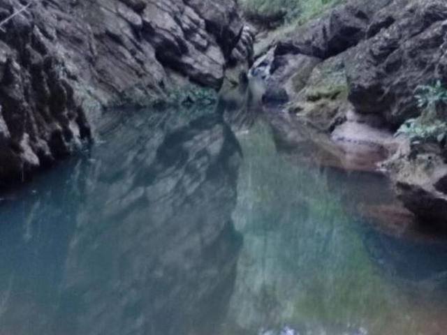 Sítio e chácara venda em Região Geográfica Imediata de Patos de Minas, Patos de Minas